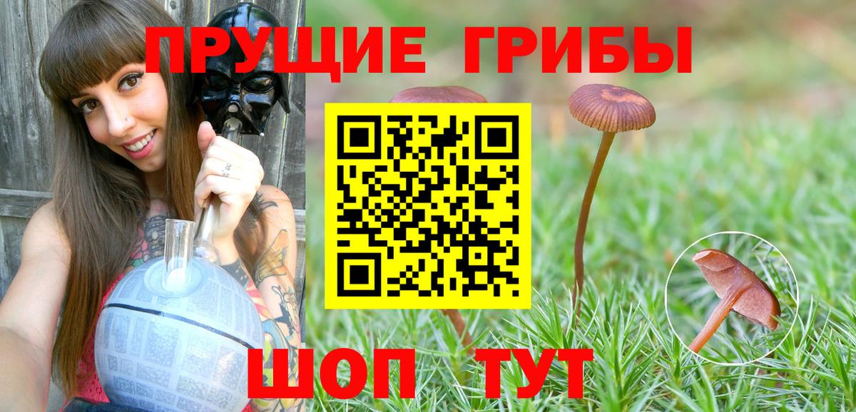 Галлюциногенные грибы GOLDEN TEACHER Ялта